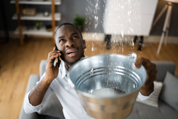 Best Emergency water damage restoration  in Moweaqua, IL