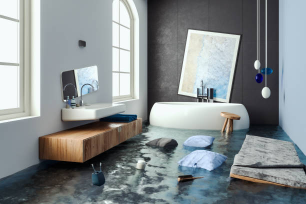 Best Water damage contractors near me  in Moweaqua, IL