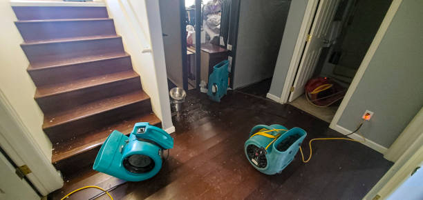 Water damage restoration process in Moweaqua, IL