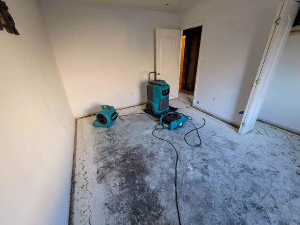 Best Commercial water damage restoration  in Moweaqua, IL
